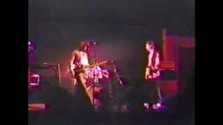 THE MOONDOGS - "Me and the Boys" (NRBQ) "Peace Love and Understanding" (Elvis Costello)