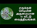 எருக்கன் செடியின் 10 வீட்டு வைத்தியங்�