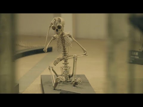 Náhled pro video reference