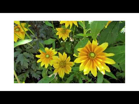 Gorge Waterway | Hidden Treasures Series | Lorenda Simms Real Estate