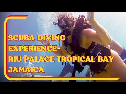 Videos del Riu Palace Tropical Bay 5★ en Negril, JamaicaVer MásVerPrecios22CerrarConsulta por Whatsapp 🇦🇷BookingTripadvisorExpediaAgodaTravelocityOrbitzPricelineTripSkyscannerDespegarKayakHotelesBestdayDestiniaTrivagoTurismocityAlmundoLastminuteHotwireCheapticketsTuiWotif