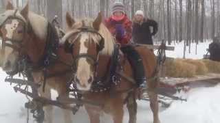 preview picture of video 'noel a coaticook 2014'