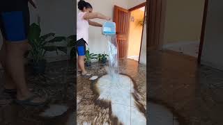 ASMR de LIMPEZA   🫧🪣🌸 #asmrlimpeza #cleaningasmr #cleantok #asmrlimpeza #limpezasatisfatoria