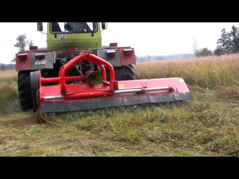 Grünlandtag Ampermoos