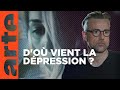 La Dépression Prédisposition Ou Influence De L Environnement Les Questions Qui Fâchent ARTE