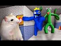 Hamsterious vs Rainbow friends Blue and Green || Funny Hamster maze run