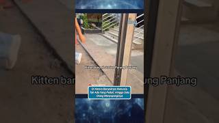 Download lagu Di Antara Banyaknya Manusia, Tak Ada Yang Peduli, Hingga Satu Orang Menyayanginya mp3 Download lagu Di Antara Banyaknya Manusia, Tak Ada Yang Peduli, Hingga Satu Orang Menyayanginya mp3