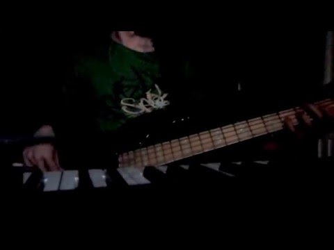 Weather Report - Teen Town (Bass cover by Luigi)