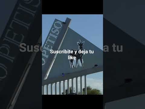 Choritis y Ciervo Petiso Chaco