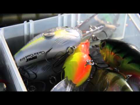 Italian Fishing TV - Rapala in Action - Bass Fishing