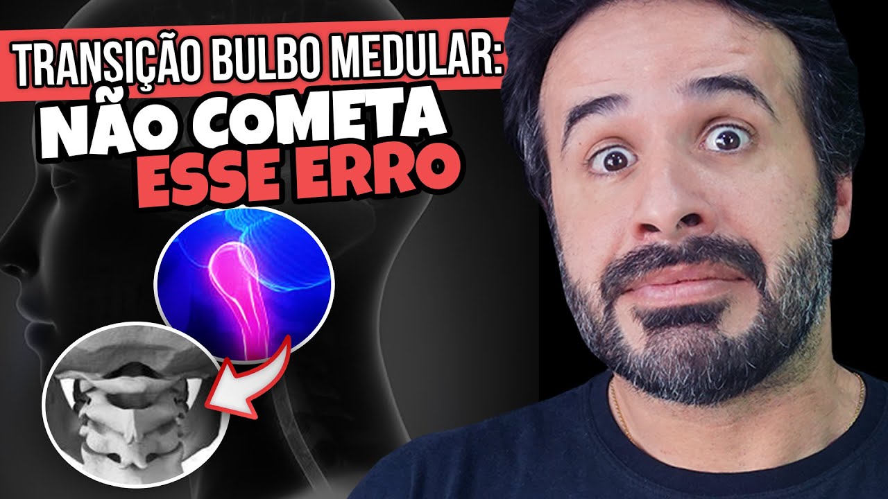 O Que é Bulbo Anatomia O Que é Bulbo Anatomia