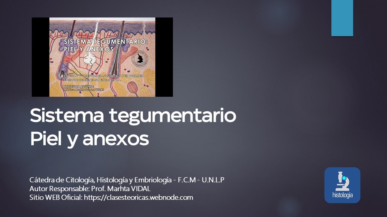 SISTEMA TEGUMENTARIO PIEL Y ANEXOS