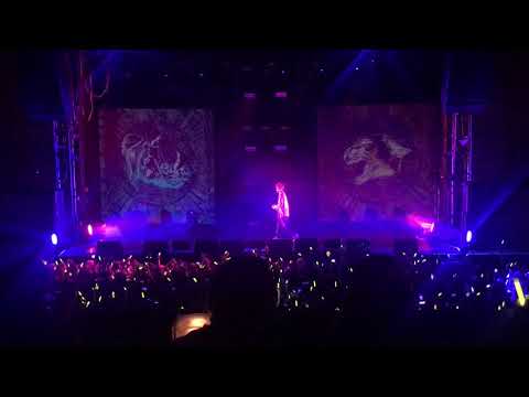 Zico in Moscow  full concert