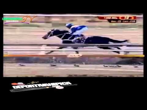 LA RINCONADA 10 CARRERA DOMINGO 23 DE MARZO DEL 2014