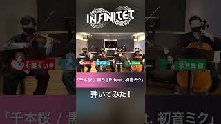 Download lagu 【short ver A/弦楽四重奏】千本桜 黒うさP feat 初音ミク【弾いてみた/INFINITET】 mp3 Download lagu 【short ver A/弦楽四重奏】千本桜 黒うさP feat 初音ミク【弾いてみた/INFINITET】 mp3