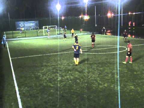 7Step Up – Angry Bees