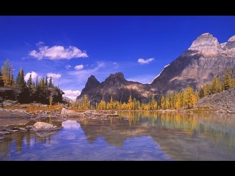 Yoho National Park