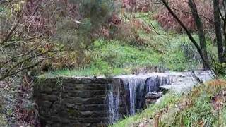 Incredible String Band Water Song Rivington