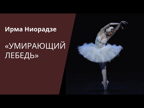 THE DYING SWAN - Irma Nioradze / DANCE OPEN 2010