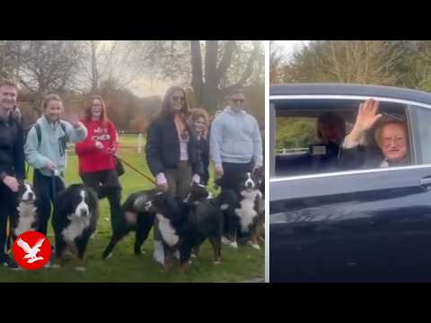 Bernese Mountain dogs bid Michael D Higgins farewell