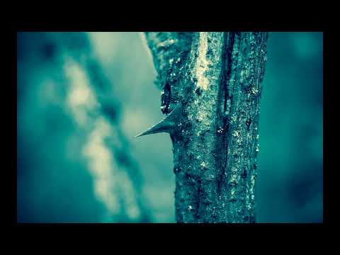 Neymar - Strano tijelo