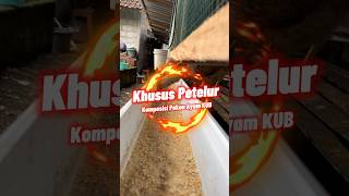 Download lagu Komposisi Pakan Ayam KUB khusus petelur #kub #ayamkampung mp3 Download lagu Komposisi Pakan Ayam KUB khusus petelur #kub #ayamkampung mp3