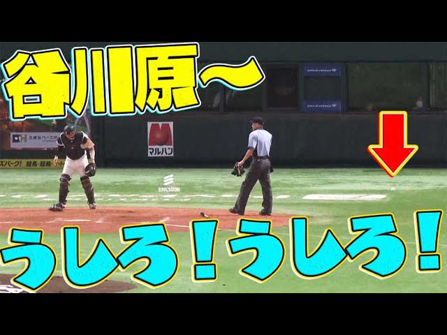 ホークス・谷川原『たにがわら〜！ うしろ！うしろ！」』