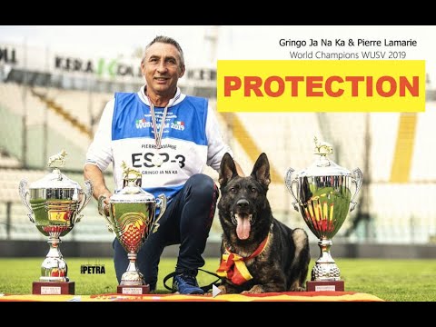 Mr. Pierre Lamarie and Gringo and Ja Na Ka -  Winner 2019 WUSV WM IGP World Cup C