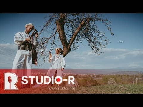 Gavrilă feat Alex Martari - Măi pretine