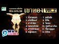 รวมบทเพลงเพื่อชีวิต MV Karaoke เขาทอง Vol 2 Music 