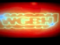 WGBH American Public Television 2011