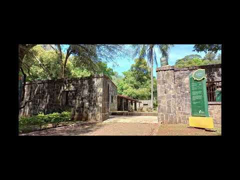 Ruta de las misiones