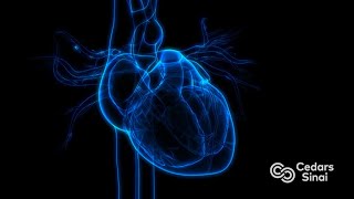 Newswise:Video Embedded heart-rhythm-disorders-what-you-need-to-know