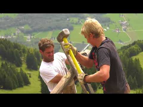 POTENTIAL RHEINTAL - FOG SENNWALD - HOLZ & FORSTWIRTSCHAFT