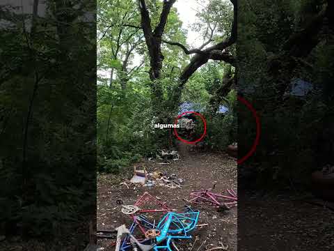 O motociclista enfrentou um ladrão de motocicletas na floresta! 😨