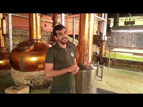 Cachaça Gestor