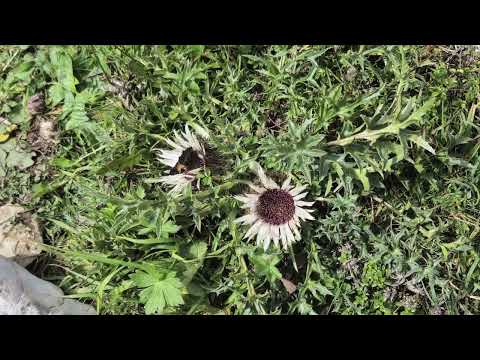 Vom Chasseral zum Chaumont