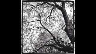 "Everywhere" by Translator