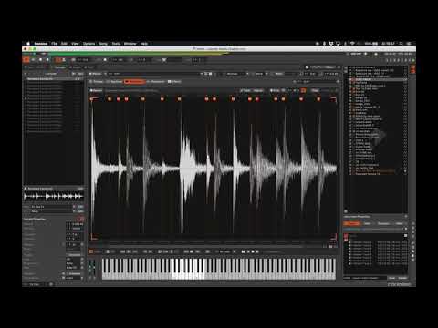 Infest - Cosmic Radio Chatter | Renoise | Jungle