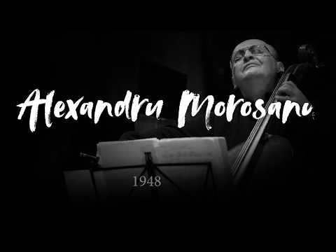 Bursa de Studii Alexandru Morosanu