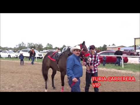 PANAMÁ WES VS CADETE 330 YDS