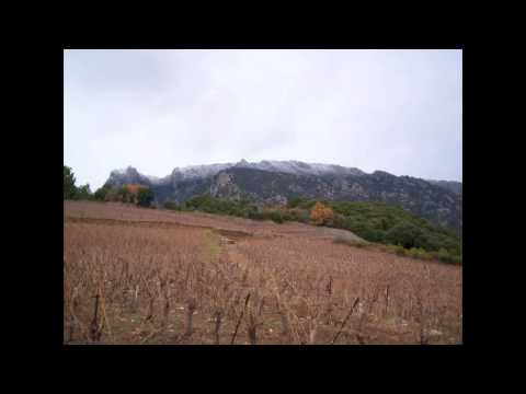 HARTAG-Traio Romano Romanian Instrumental