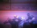 2008 Daughters Of The Desert Oaks Stars The Limit