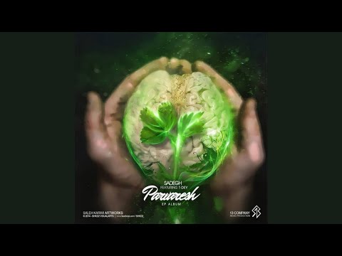 Sadegh ft T-Dey - Khalesaneh