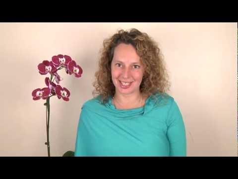 Invitation to Harmonyum 3