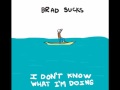 Brad Sucks - Making Me Nervous (I Don't Know What I'm Doing) [Lyrics]