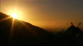 Tokyo Police Club - Juno