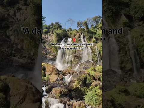 habiba/ #youtubeshorts