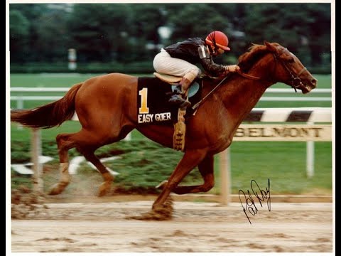 EASY GOER Woodward Stakes (G1) 1989