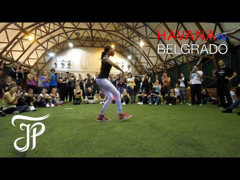 Yeni Molinet - Arara